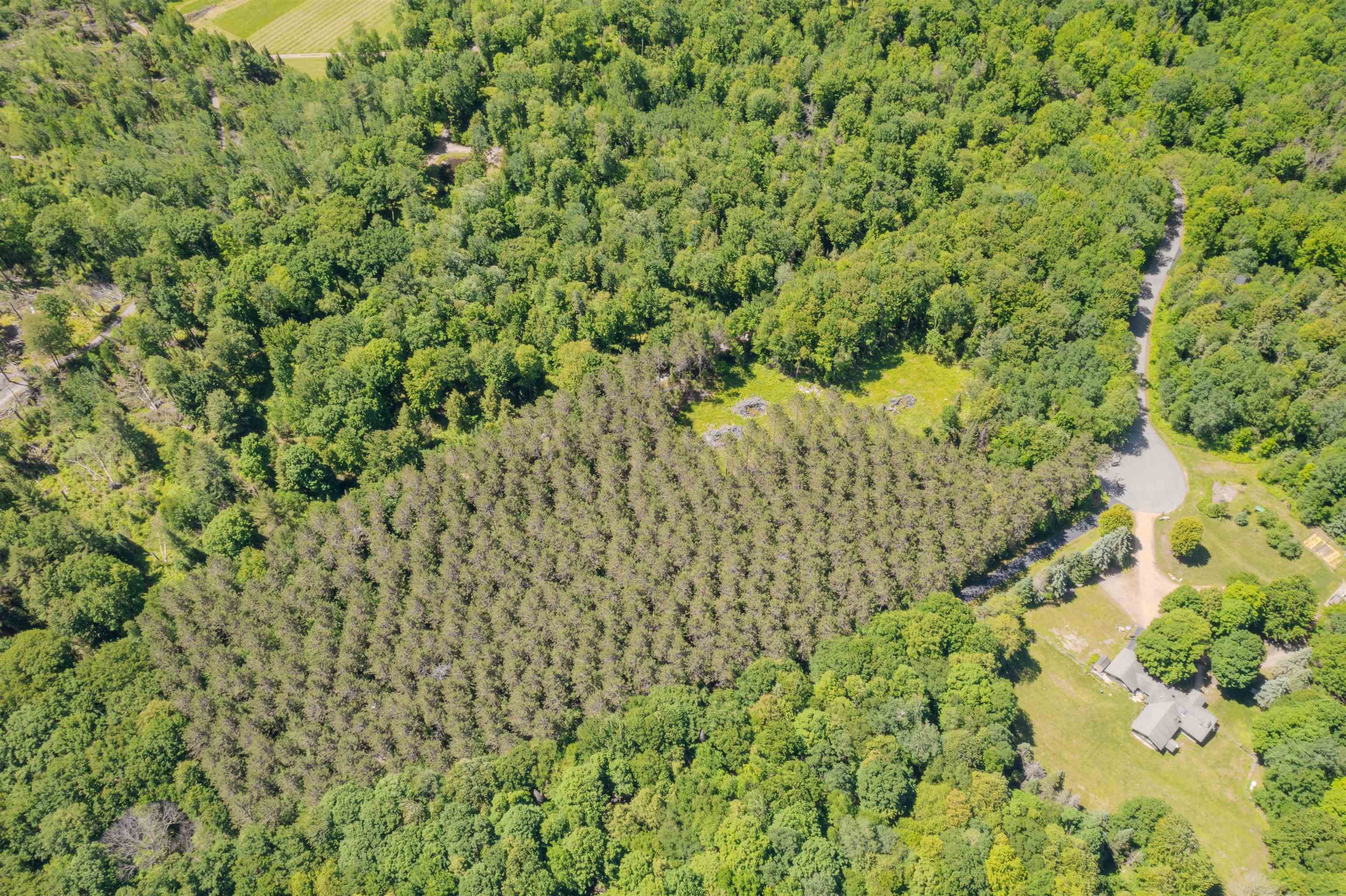 225449 Star Dust Lane Ringle, WI 54471 - Photo 5 of 13