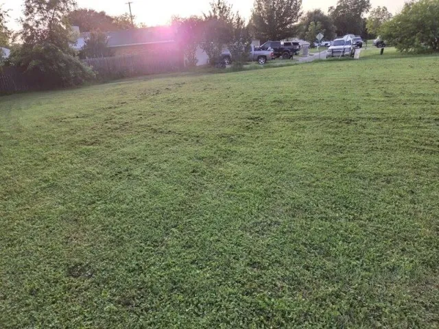 a view of yard with trees