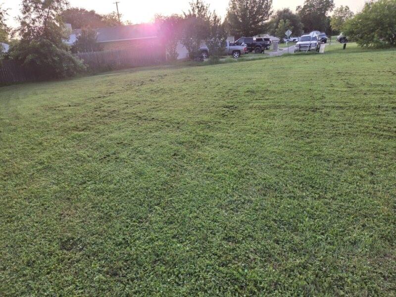 a view of yard with trees