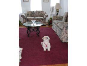 9437 Shore Road, Unit B2 Brooklyn, NY 11209 - Photo 8 of 9 small pets with Board Approval