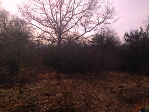 0 Point Road Marion, MA 02738 - Photo 1 of 2 a view of outdoor space and yard