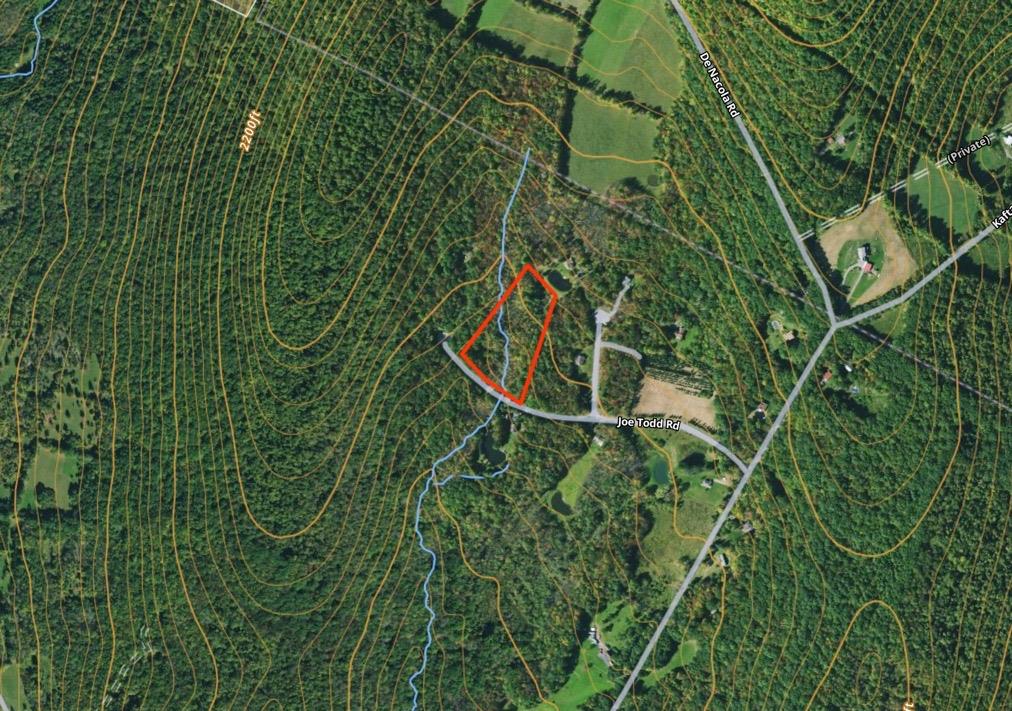 0 Joe Todd Road Fleischmanns, NY 12430 - Photo 12 of 33