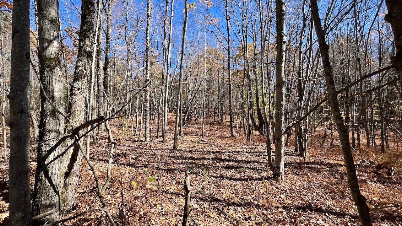 0 Joe Todd Road Fleischmanns, NY 12430 - Photo 13 of 33