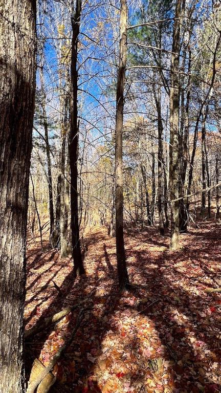 0 Joe Todd Road Fleischmanns, NY 12430 - Photo 16 of 33