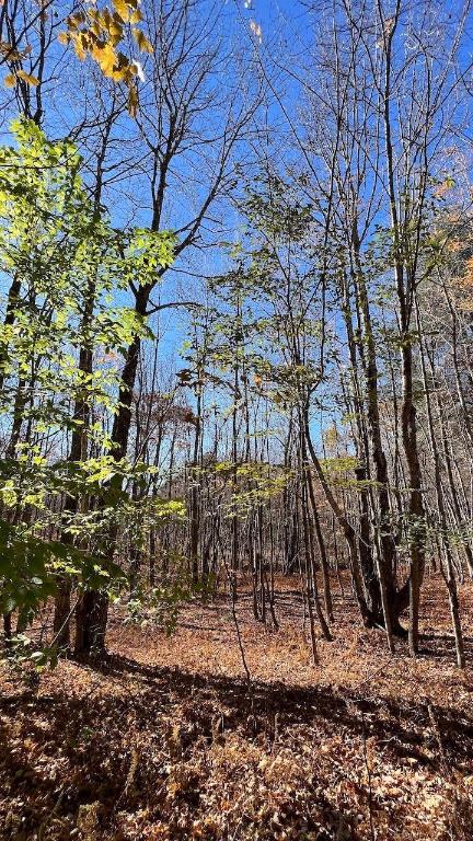 0 Joe Todd Road Fleischmanns, NY 12430 - Photo 17 of 33