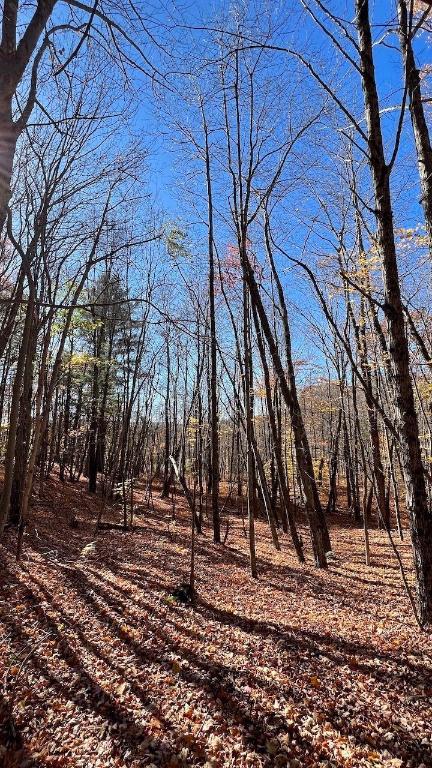 0 Joe Todd Road Fleischmanns, NY 12430 - Photo 18 of 33