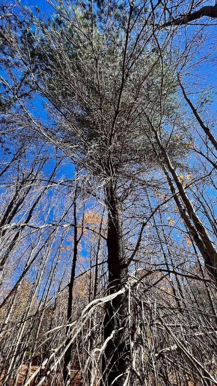 0 Joe Todd Road Fleischmanns, NY 12430 - Photo 20 of 33