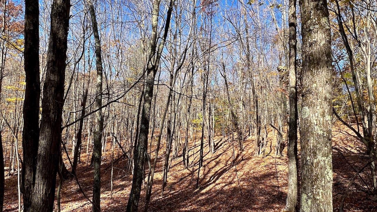 0 Joe Todd Road Fleischmanns, NY 12430 - Photo 2 of 33