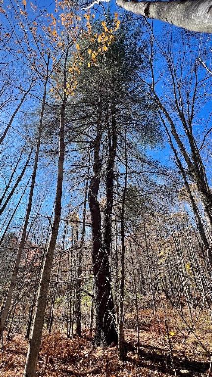 0 Joe Todd Road Fleischmanns, NY 12430 - Photo 21 of 33