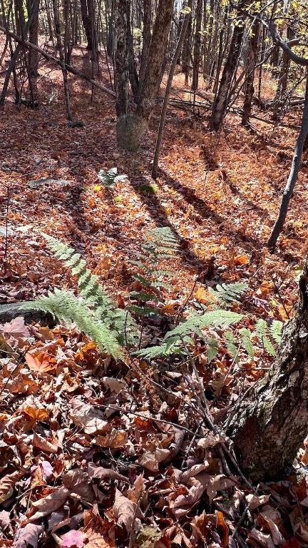 0 Joe Todd Road Fleischmanns, NY 12430 - Photo 24 of 33