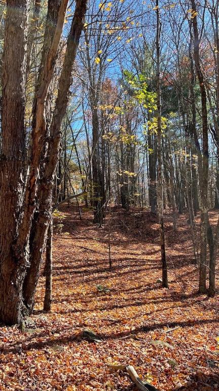 0 Joe Todd Road Fleischmanns, NY 12430 - Photo 25 of 33