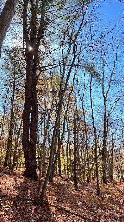 0 Joe Todd Road Fleischmanns, NY 12430 - Photo 26 of 33