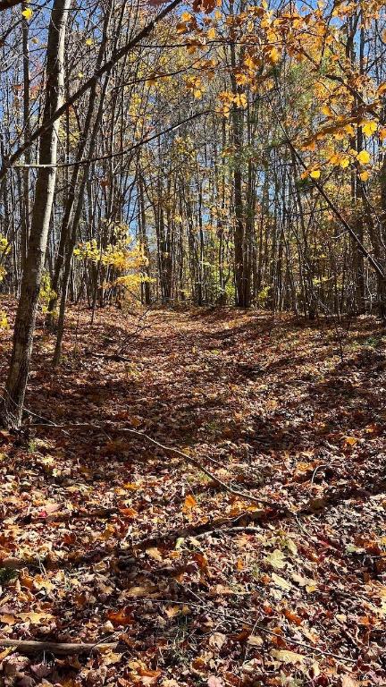 0 Joe Todd Road Fleischmanns, NY 12430 - Photo 27 of 33