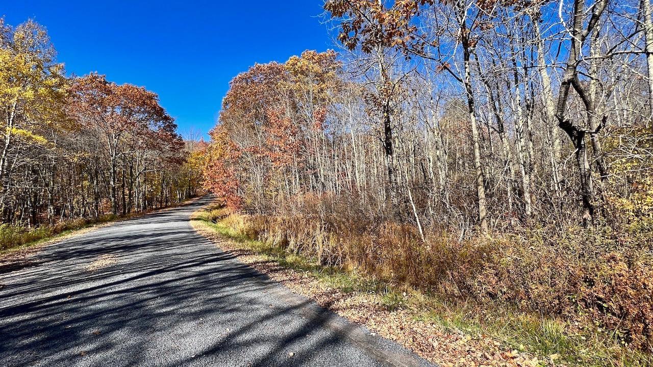 0 Joe Todd Road Fleischmanns, NY 12430 - Photo 29 of 33