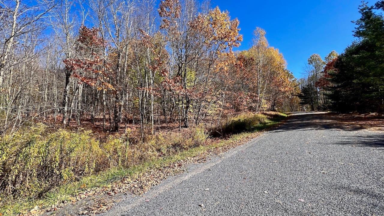 0 Joe Todd Road Fleischmanns, NY 12430 - Photo 30 of 33