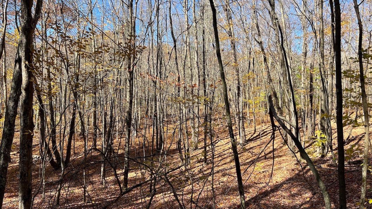 0 Joe Todd Road Fleischmanns, NY 12430 - Photo 3 of 33