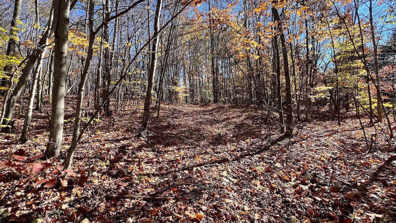 0 Joe Todd Road Fleischmanns, NY 12430 - Photo 31 of 33