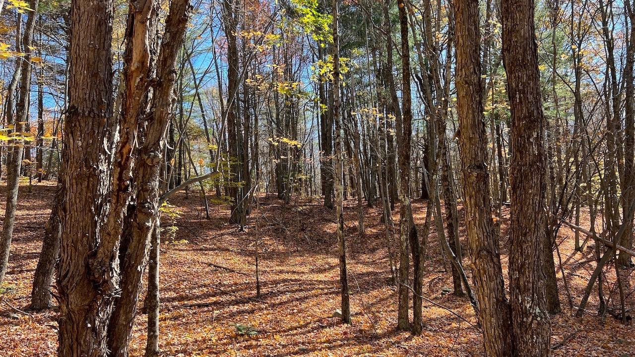 0 Joe Todd Road Fleischmanns, NY 12430 - Photo 32 of 33