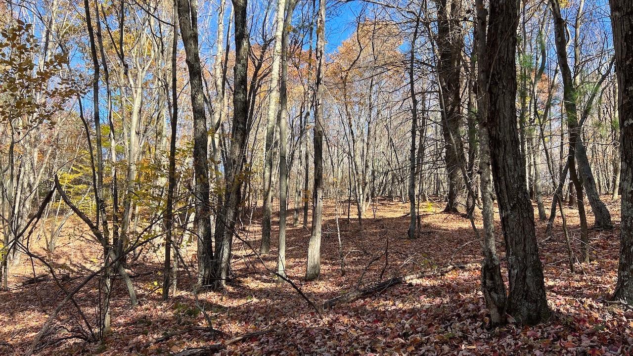 0 Joe Todd Road Fleischmanns, NY 12430 - Photo 33 of 33