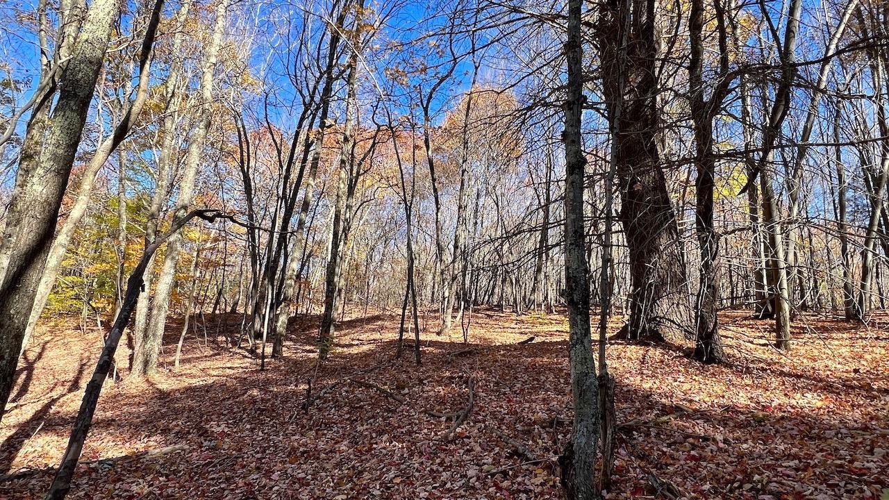 0 Joe Todd Road Fleischmanns, NY 12430 - Photo 4 of 33