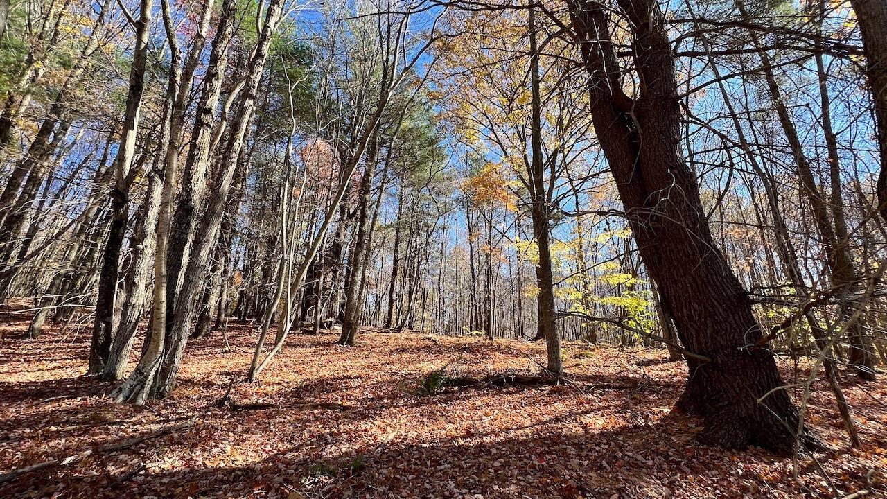 0 Joe Todd Road Fleischmanns, NY 12430 - Photo 5 of 33