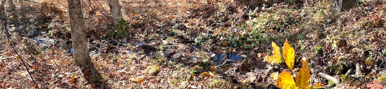 0 Joe Todd Road Fleischmanns, NY 12430 - Photo 10 of 33