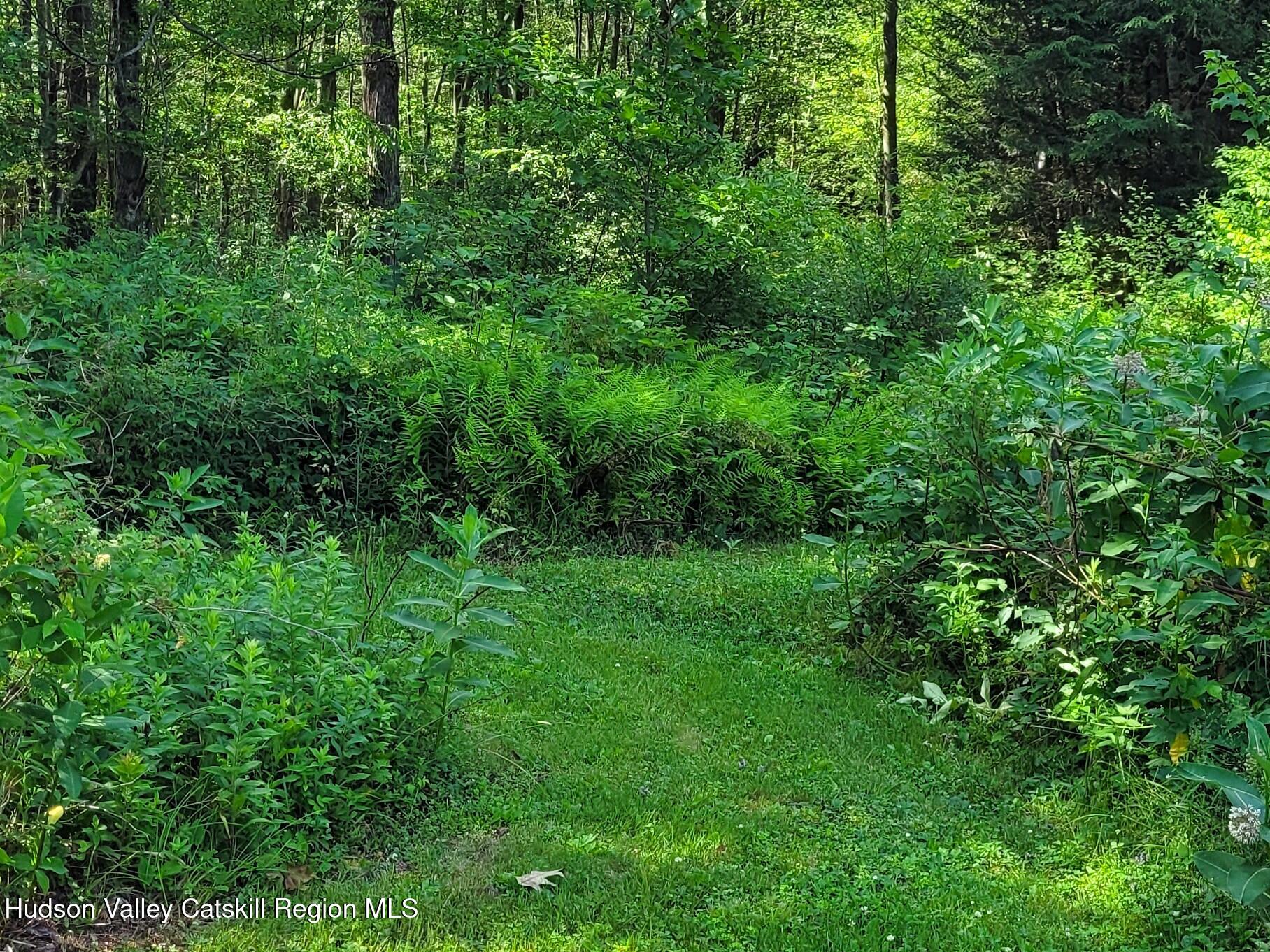 119 Brown House Road Gilboa, NY 12076 - Photo 28 of 39 20260702_163014
