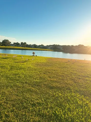 a view of a house with a yard and potted plants