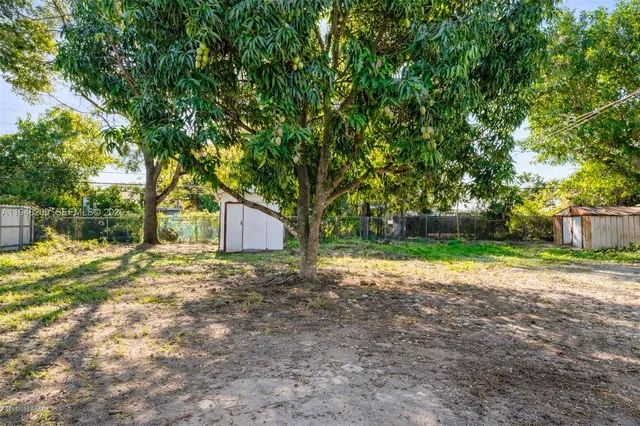 a view of a yard with a tree