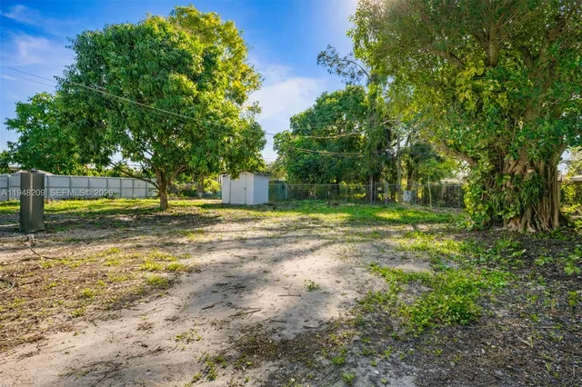 a view of a yard with a tree