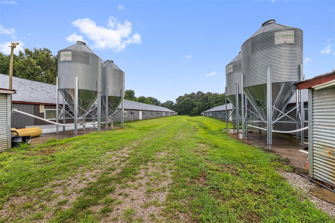 515 Boling Road Utica, KY 42376 - Photo 11 of 50 Gallery Image 11