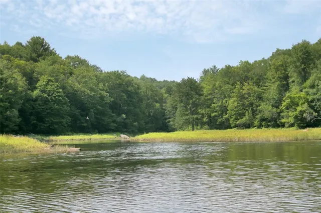 a view of a yard with trees