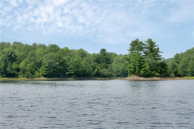 a view of a lake with trees in the background