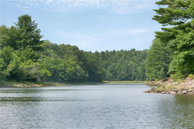 a view of a yard with a large trees