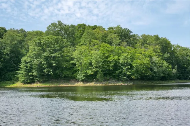 a view of a swimming pool with a yard