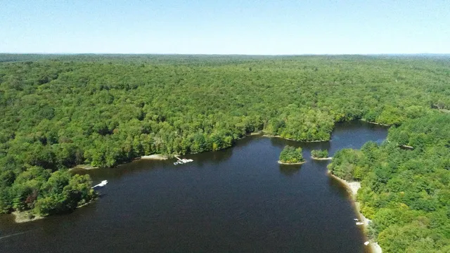 a view of yard with green space