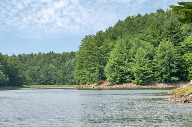 a view of a swimming pool and a yard