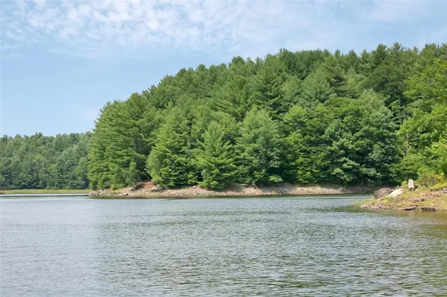 a view of outdoor space with stove and trees around