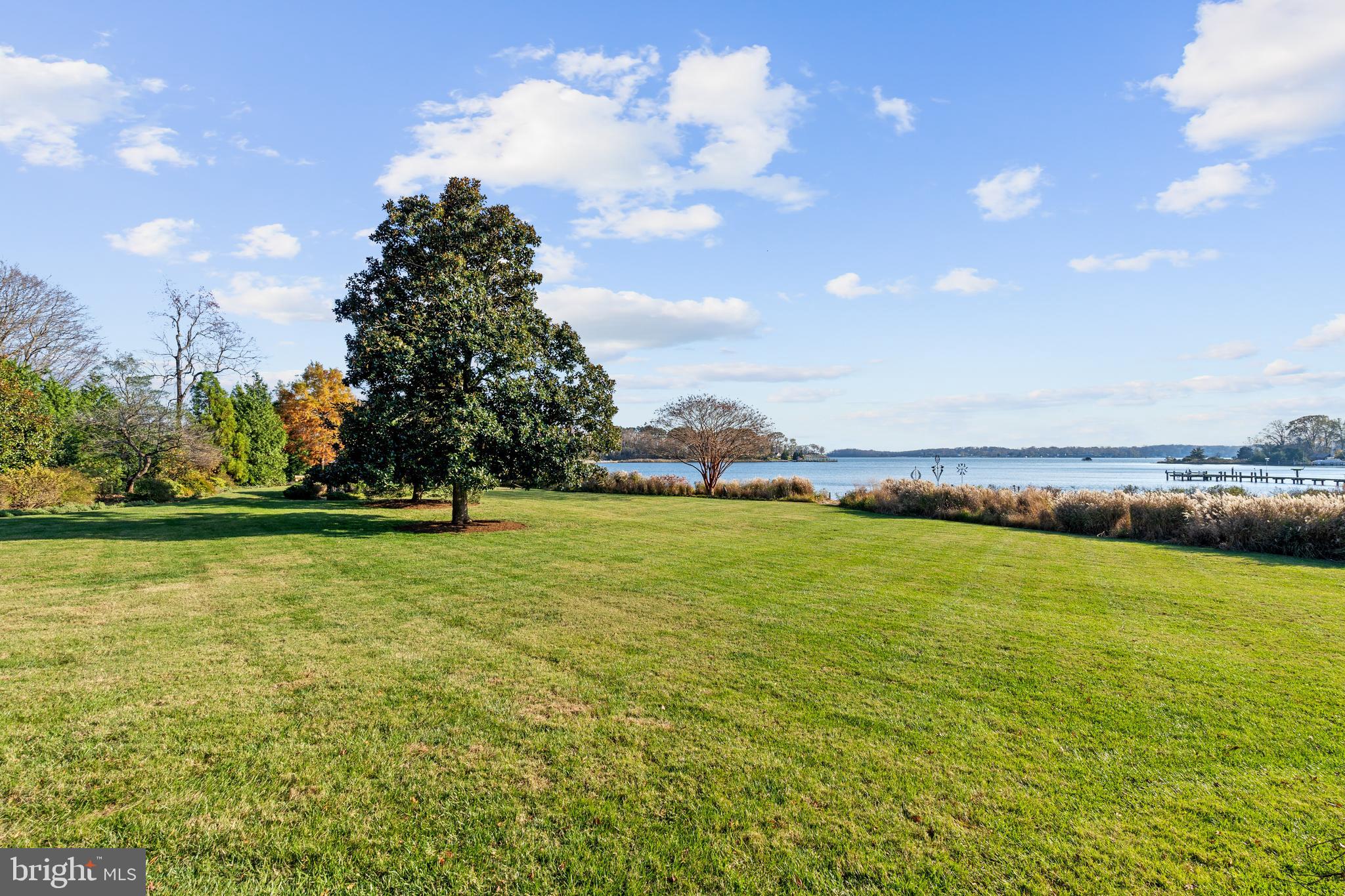 975 Melvin Road Annapolis, MD 21403 - Photo 19 of 39 Expansive backyard