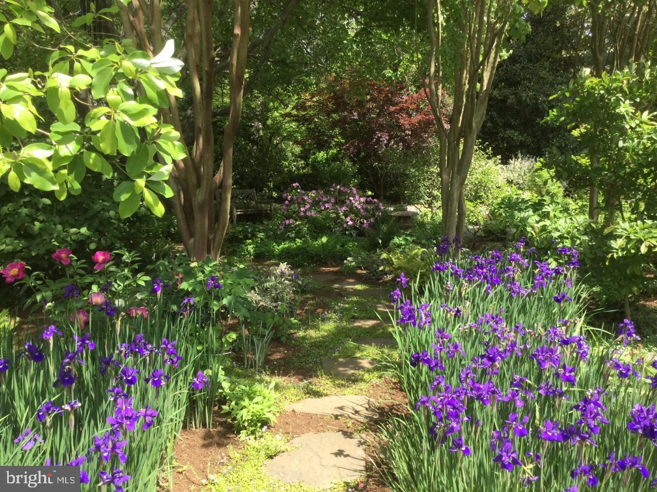 975 Melvin Road Annapolis, MD 21403 - Photo 23 of 39 Beautifully landscaped