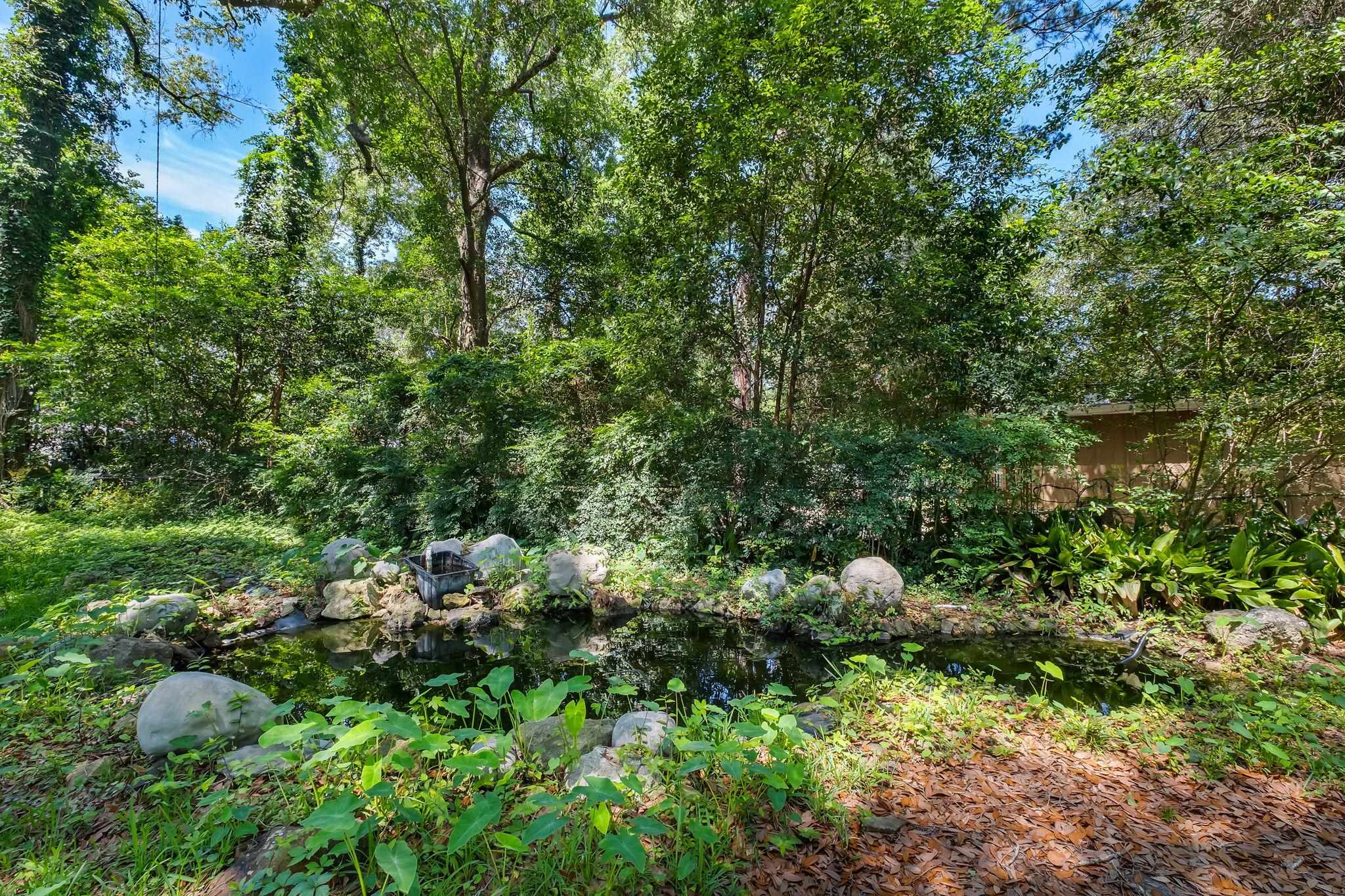 217 Sinclair Road Tallahassee, FL 32312 - Photo 5 of 24