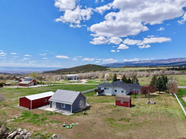 a view of a city with lots of trees
