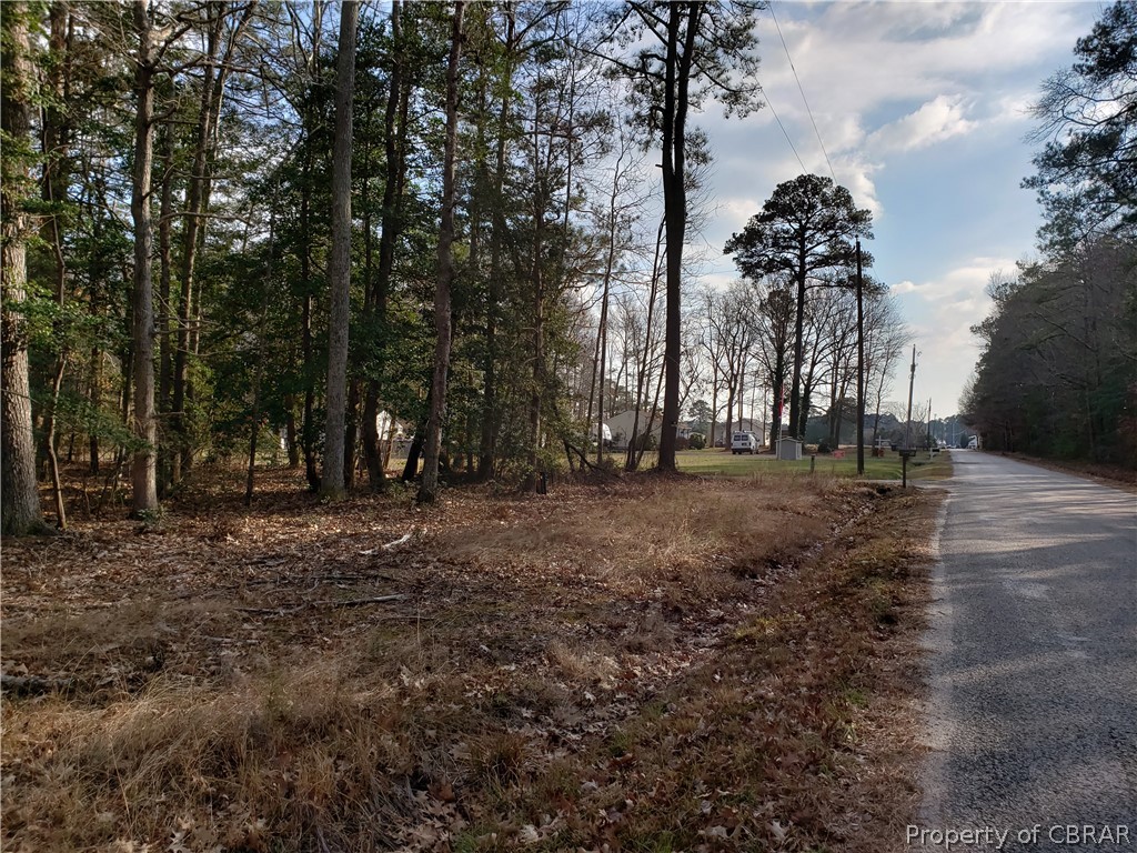 0 Railway Road Port Haywood, VA 23138 - Photo 6 of 6
