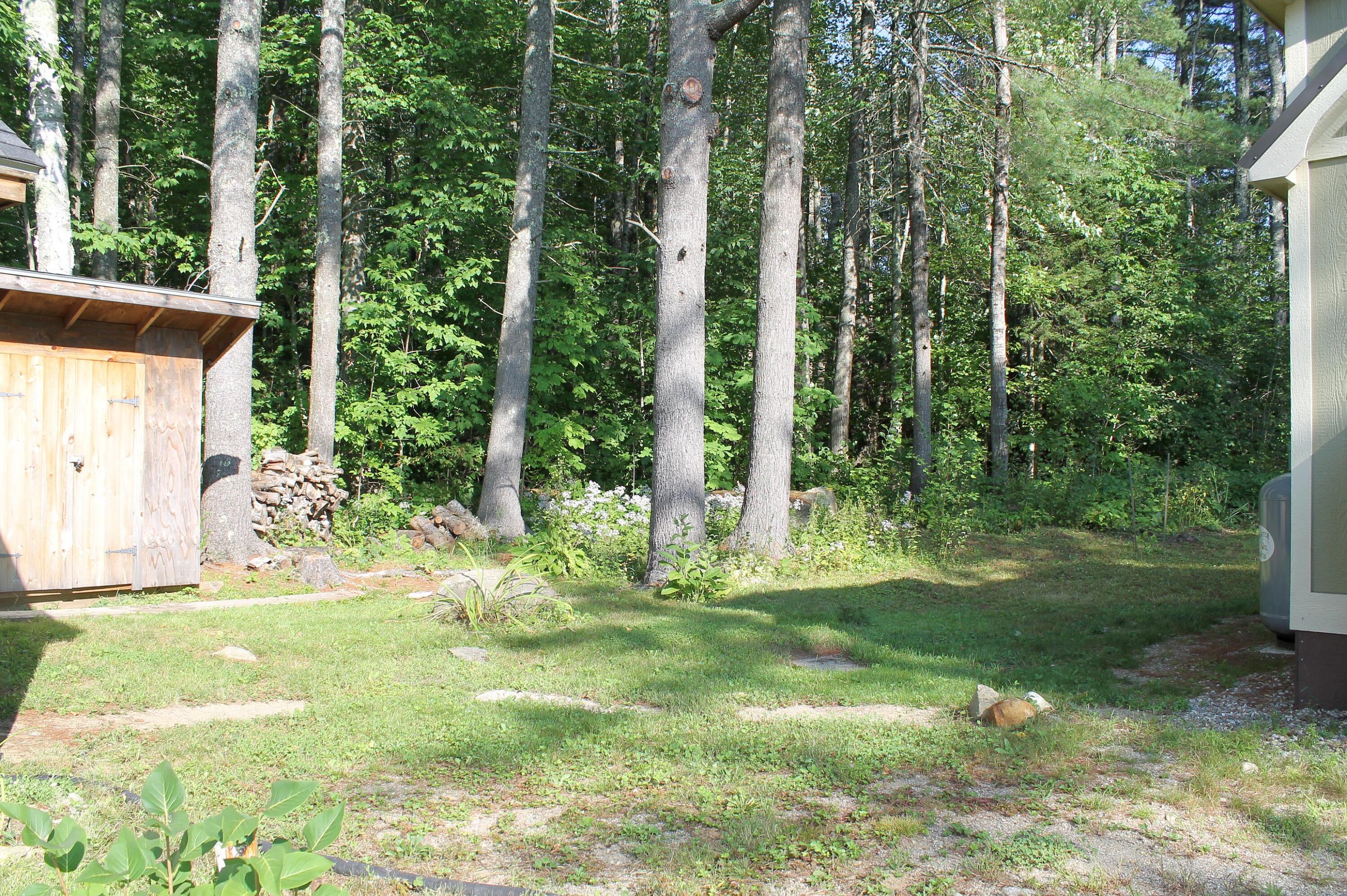 7 Back Searsport Road Belfast, ME 04915 - Photo 23 of 24 woods
