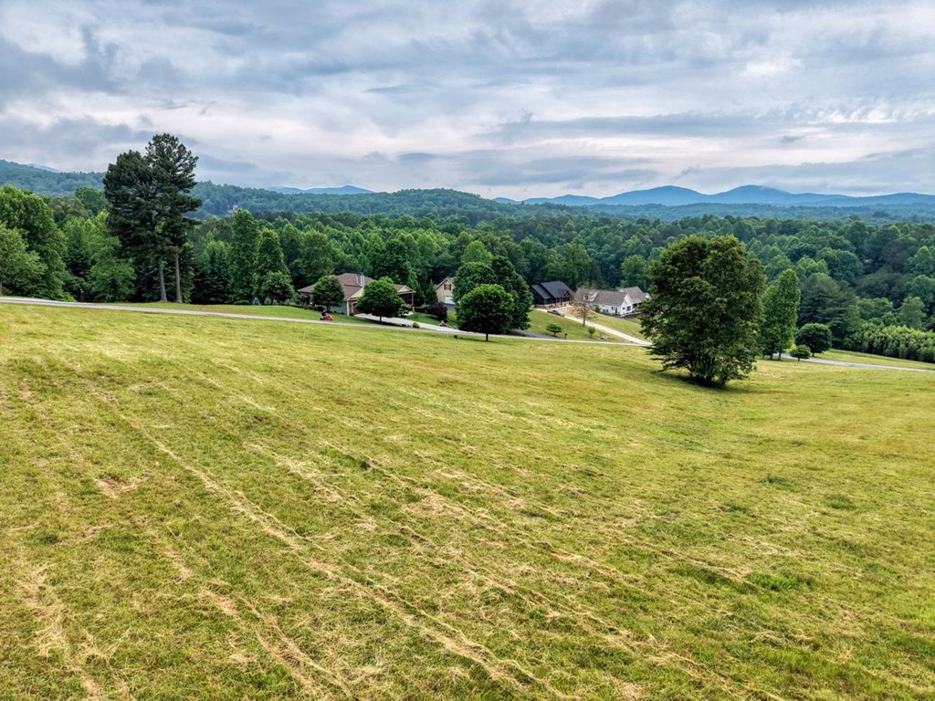 Lot 18 Riverside Lake Blairsville, GA 30512 - Photo 4 of 19