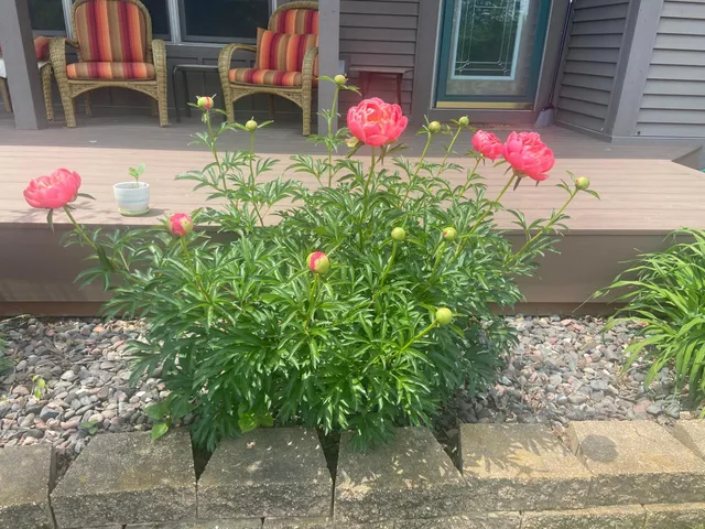 $540,000 | 2061 10th Avenue, Star Prairie, WI 54026