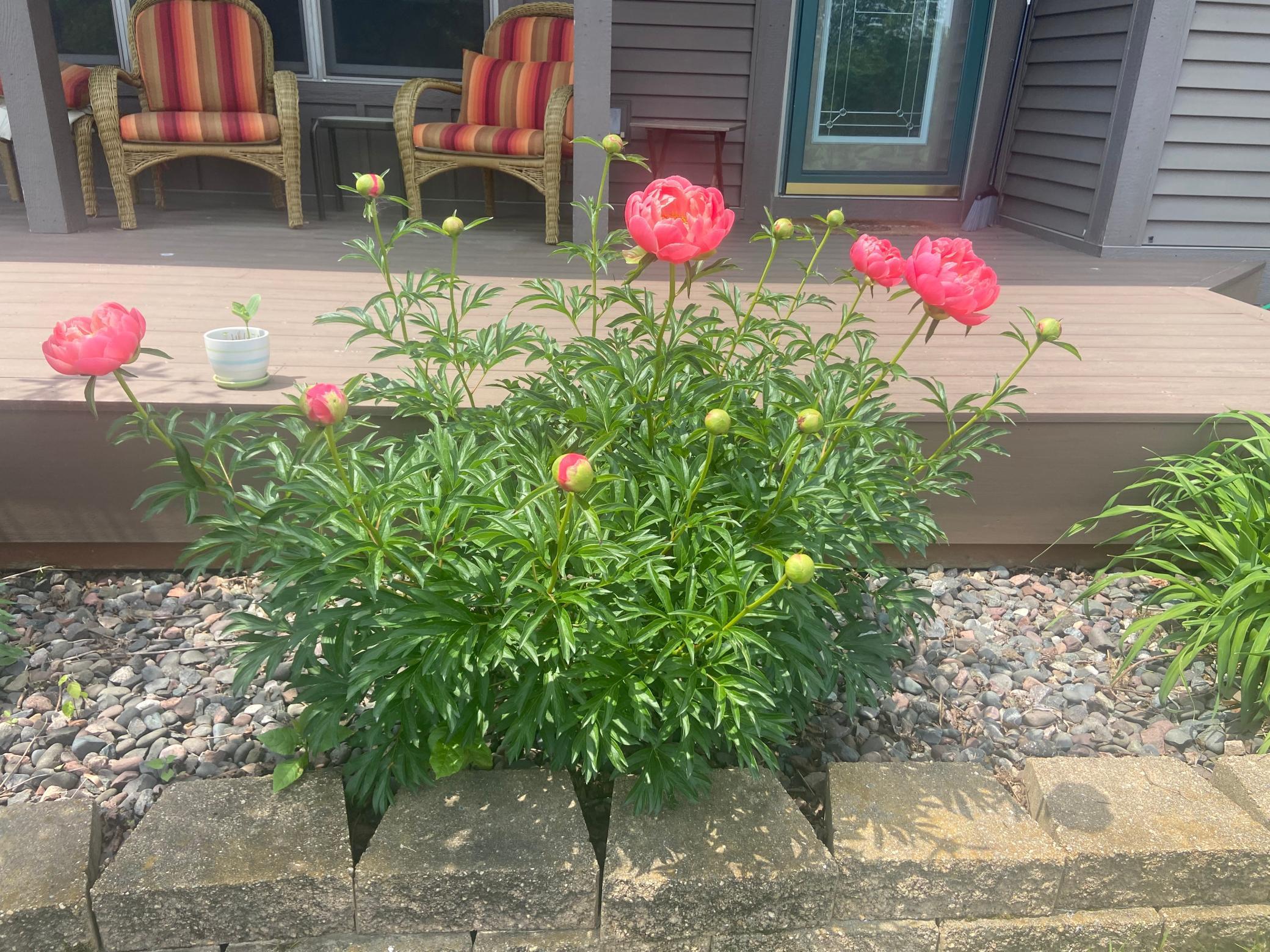 2061 10th Avenue Star Prairie, WI 54026 - Photo 48 of 56