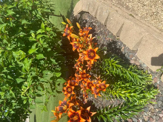 $540,000 | 2061 10th Avenue, Star Prairie, WI 54026