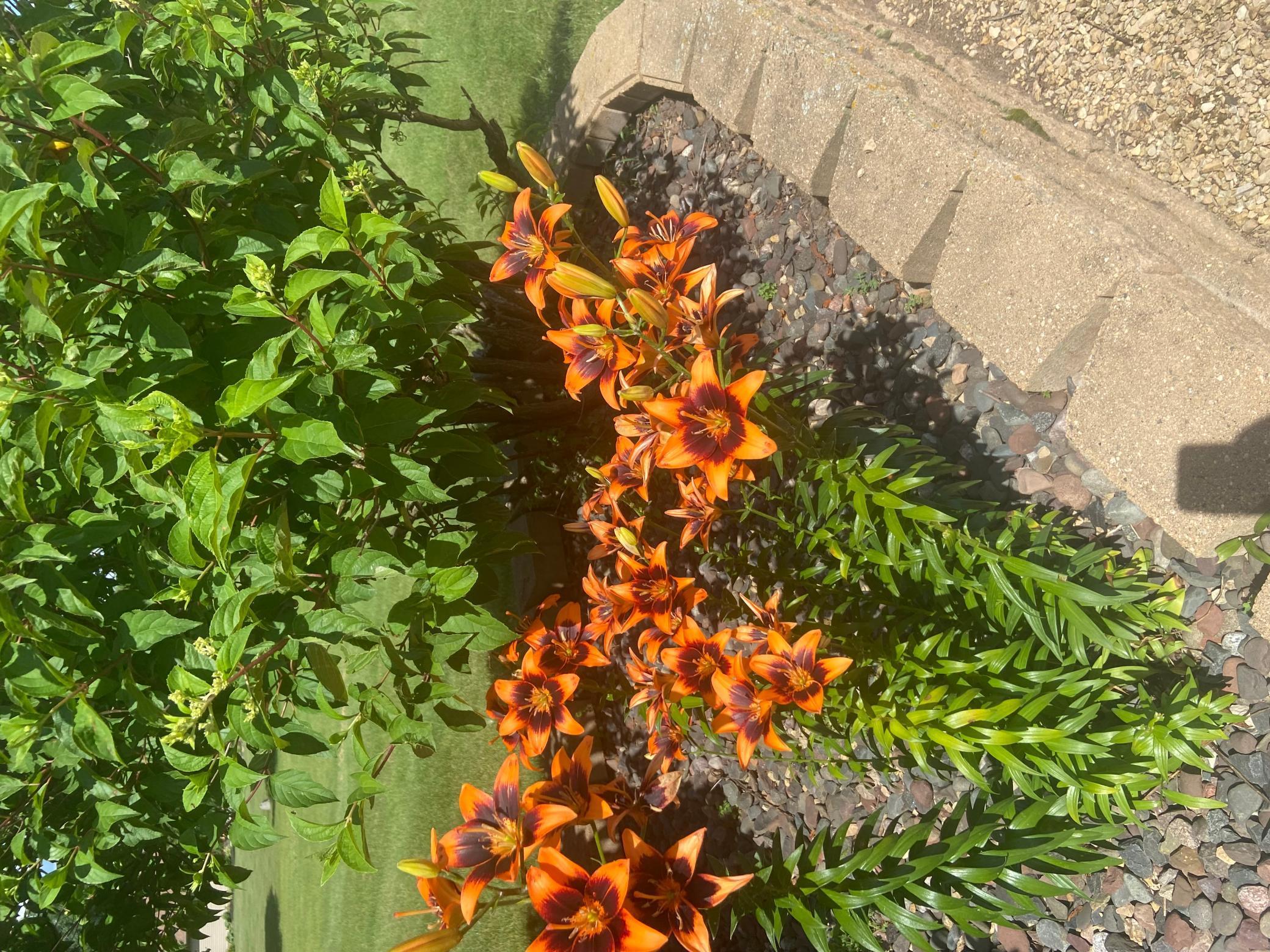 2061 10th Avenue Star Prairie, WI 54026 - Photo 49 of 56