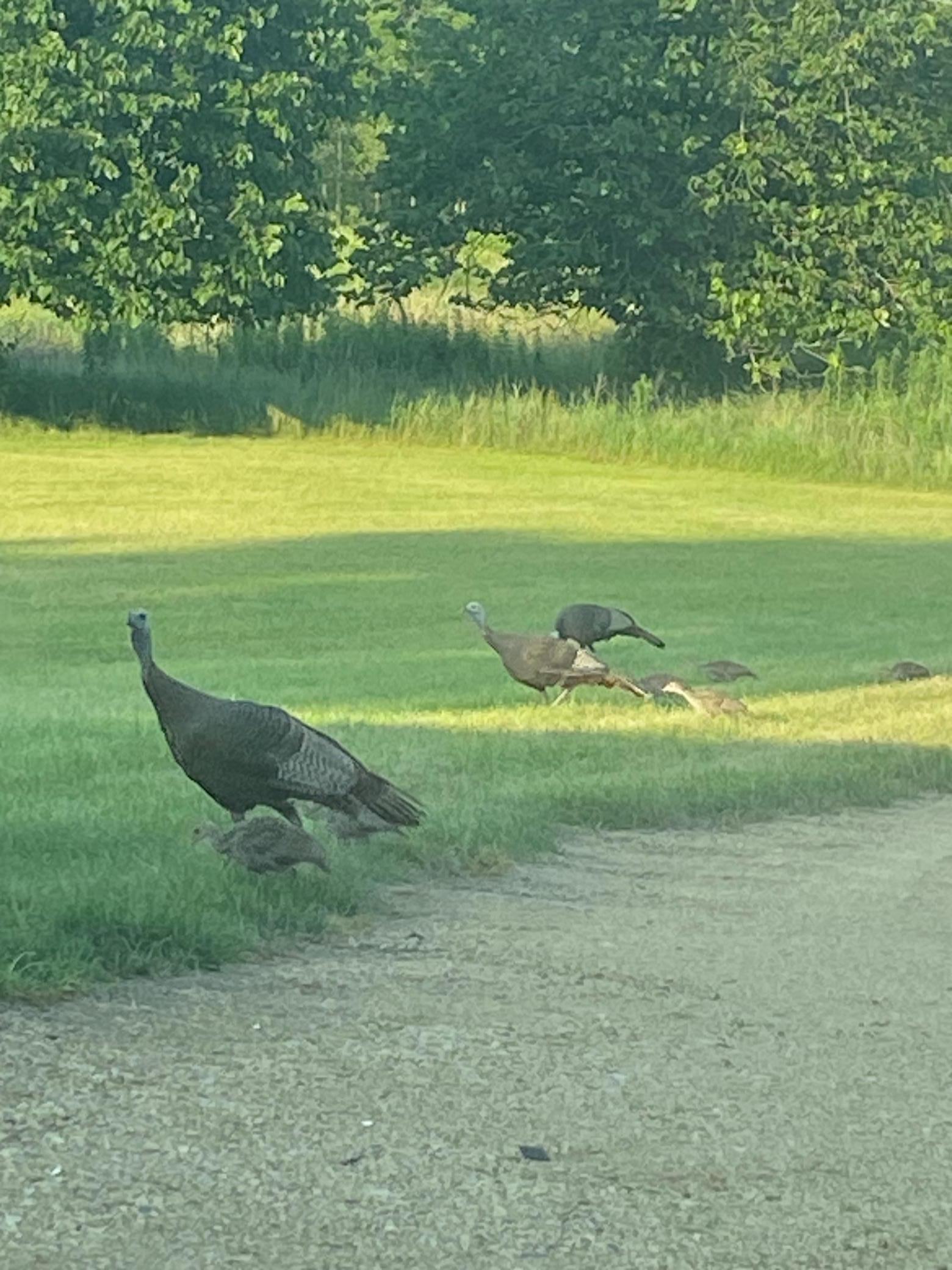 2061 10th Avenue Star Prairie, WI 54026 - Photo 55 of 56